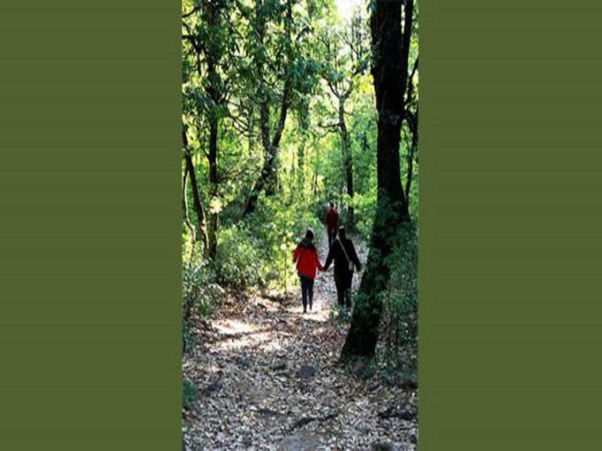 Jungle Lore Birding Lodge Nainital Zewnętrze zdjęcie
